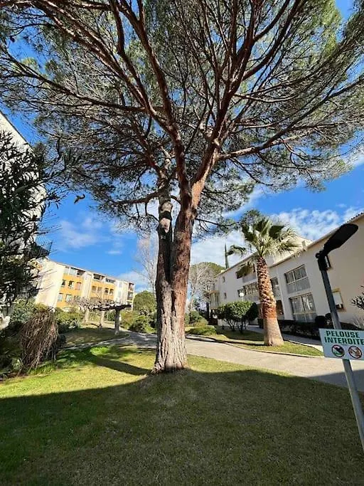 Appart Lagon Bleu Piscine Tennis Frejus Apartment
